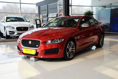 Img4356121_00.jpg