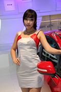 2012沈阳车展车模 