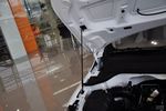 2010��ѩ������ŷ1.4L�ֶ����ݰ桭