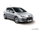 2010��������307���ᡭ