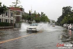 Img1652557_170.jpg