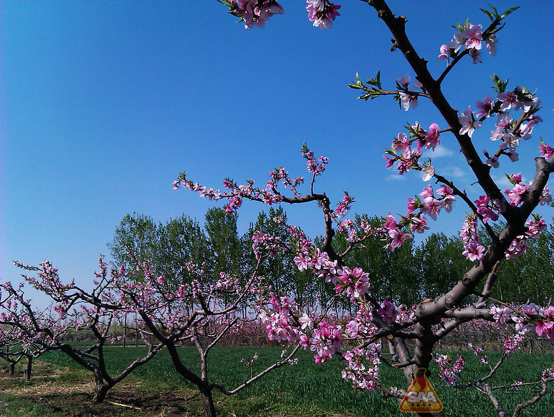 Img1165357_940.jpg