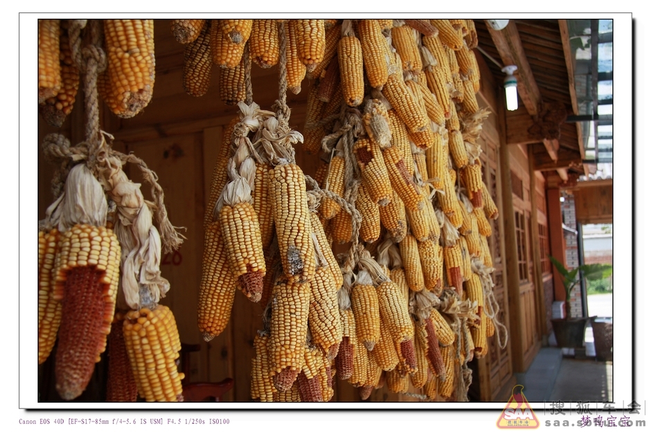 [分享20120801]大理美食- 搜狐车会