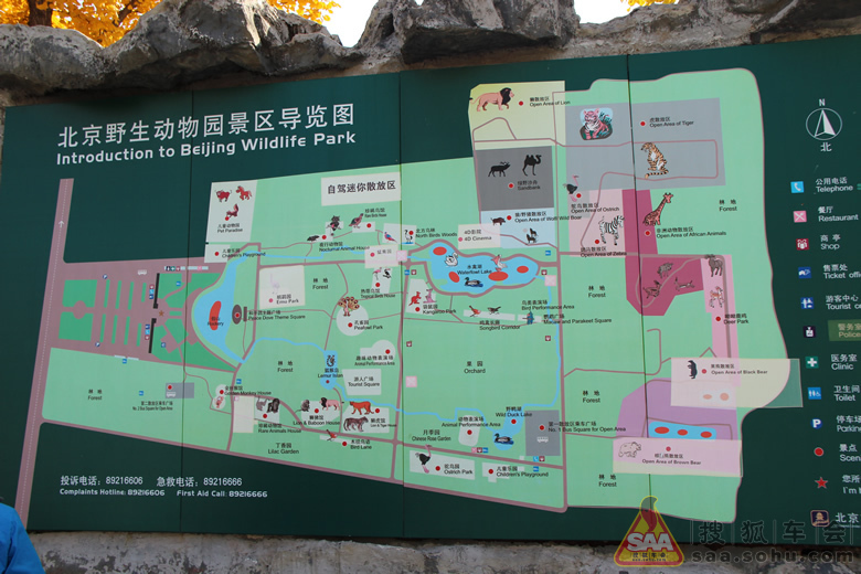 找美景】绝美的金秋京郊游--大兴野生动物园 -