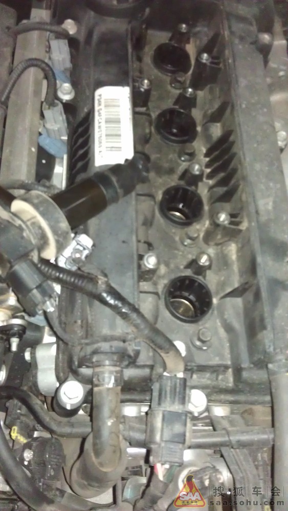 Img5510705_780.jpg