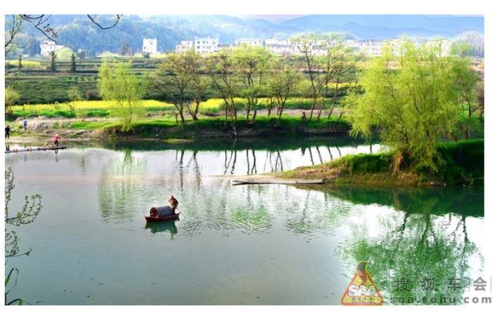 就是碧玉妆成一树高