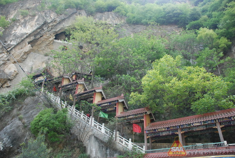 【感受春天】感受柞水九天山风景区的春天