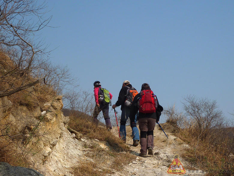 古稷山采花椒芽--精神可嘉_北斗星-星华社