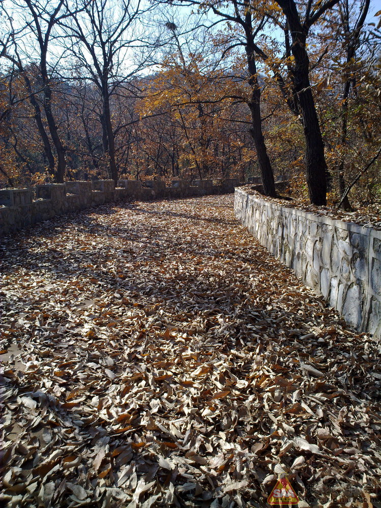 周三不收门票的大觉寺之游(手机版)_汽车60部