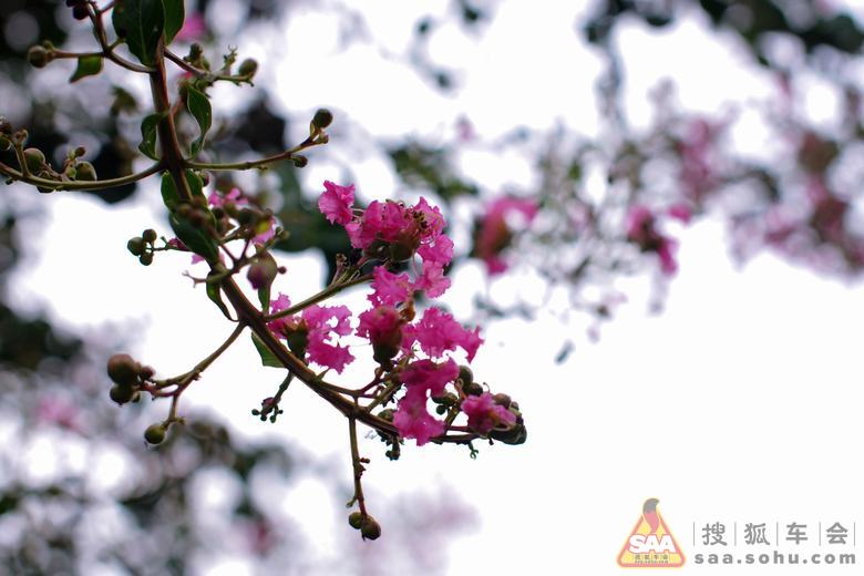 土人回来了!安徽一行随拍~