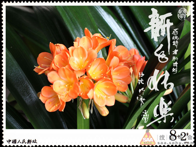 老和(老和部队)给同学们拜年了_自驾游_汽车论