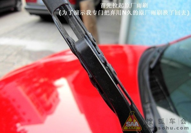 Img3123717_780.jpg