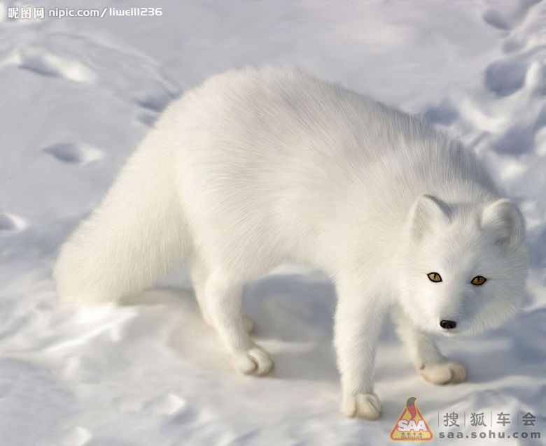 表扬624招集出游成功,送礼了