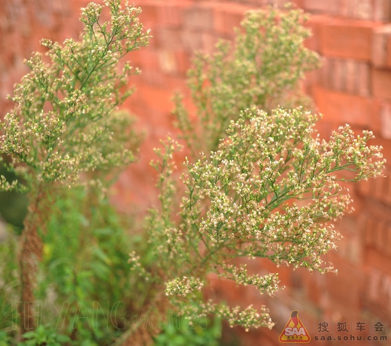 海鸥岛风光---自驾一日游