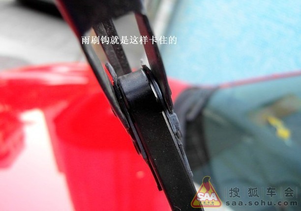 Img3123721_780.jpg