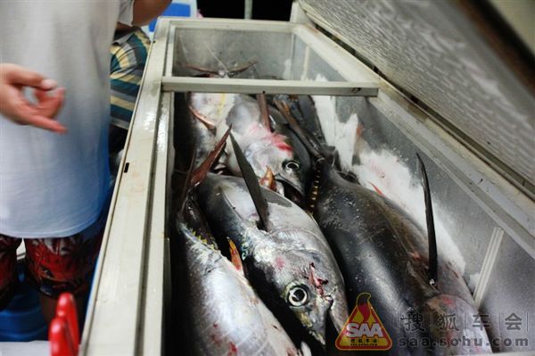 cathy南油海钓作业_宝马车友会_汽车论坛 _搜狐车友会