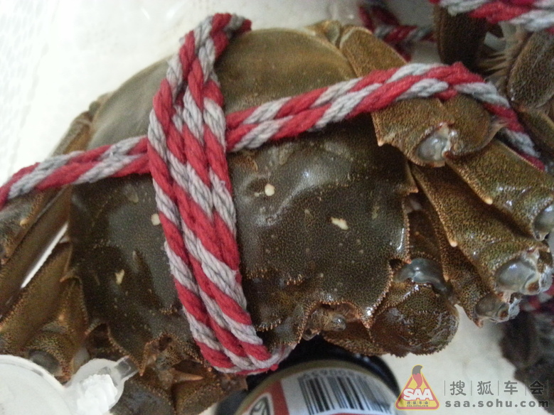 Img8927029_780.jpg