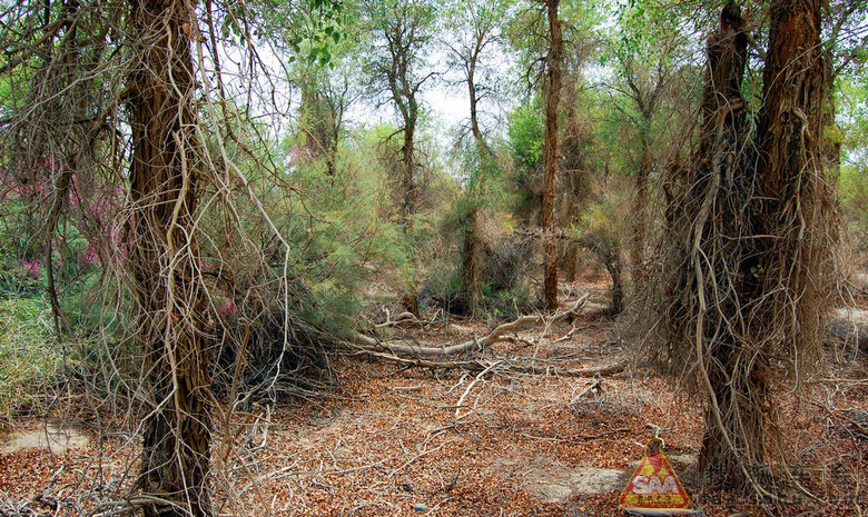 《纵横华夏八万里》图文直击 - 自驾游