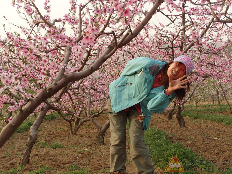 平谷看桃花 ,野外(花海)扎营!_福瑞迪论坛-同福