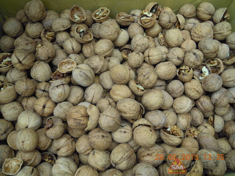 新疆特产在京交易会_别克俱乐部