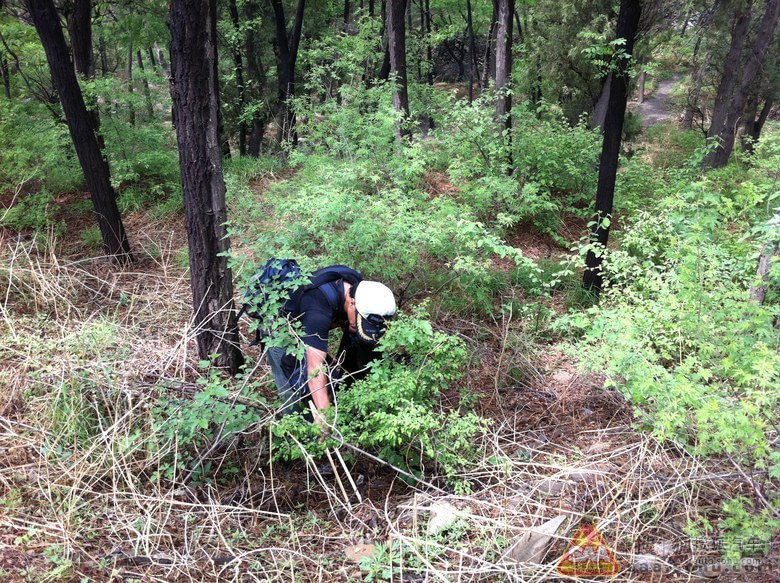 比亚迪S6车友会公益活动-香山捡垃圾感受 - 结