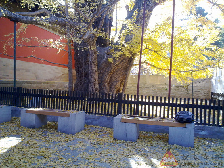 周三不收门票的大觉寺之游(手机版)_汽车60部