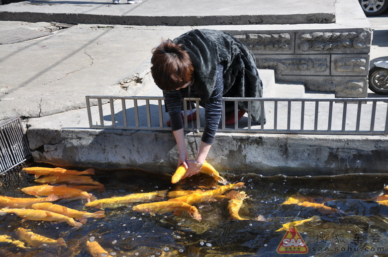 快来瞧快来看,这<em>姑娘干嘛</em>呢 - 北京红马车友会