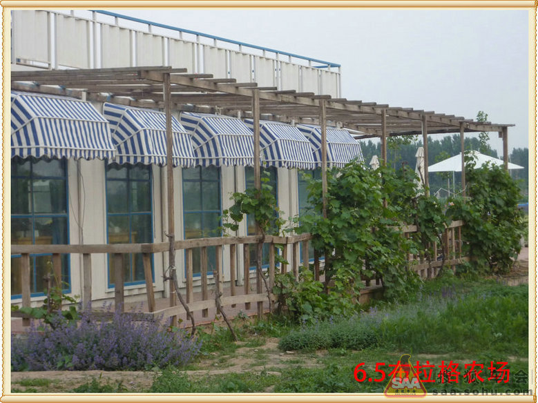 6月5日感受花的世界--游览布拉格农场 - 北京福