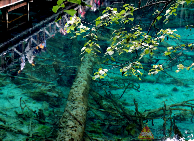 九寨沟黄龙风景区--美景让你流连忘返_龙行天