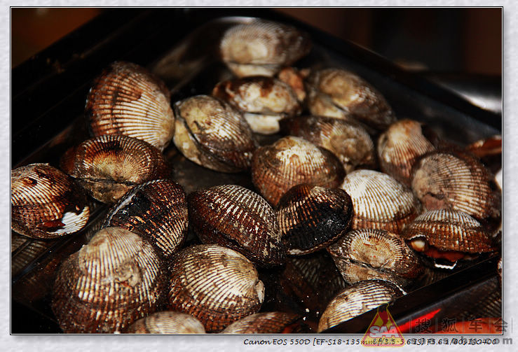 都门秋思溜达到秦皇岛北戴河 - 哈尔滨车友会
