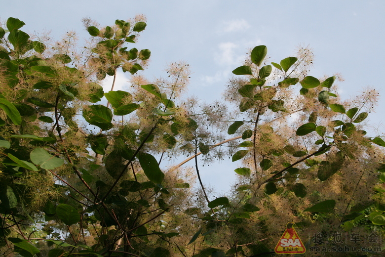 Img4509661_780.JPG