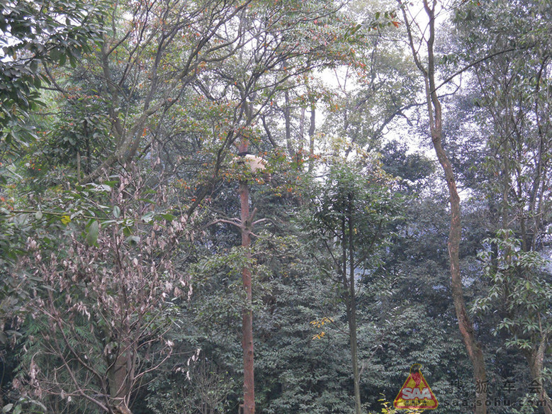 ★且歌且行:国庆节欢乐时光记忆★