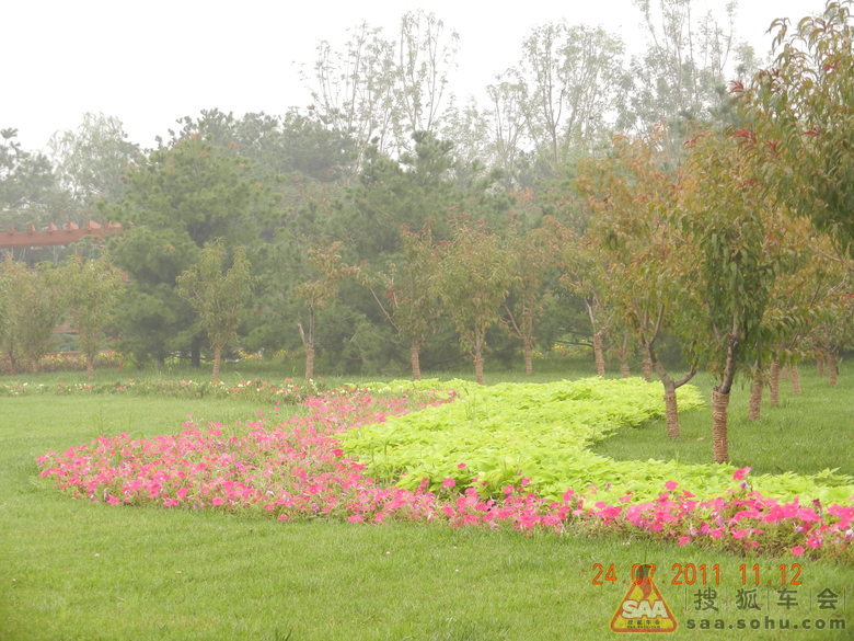 大兴念坛水库《滨河公园》美丽一小角 - 福瑞迪
