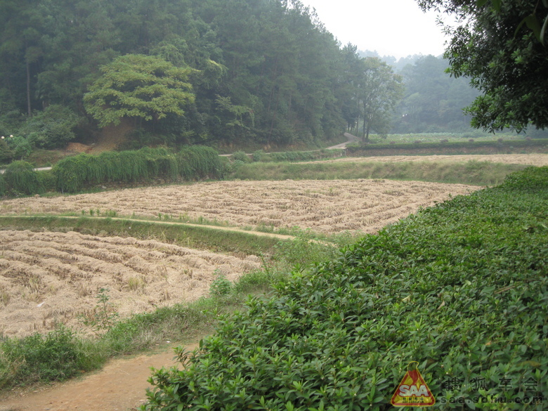 Img5698969_780.JPG