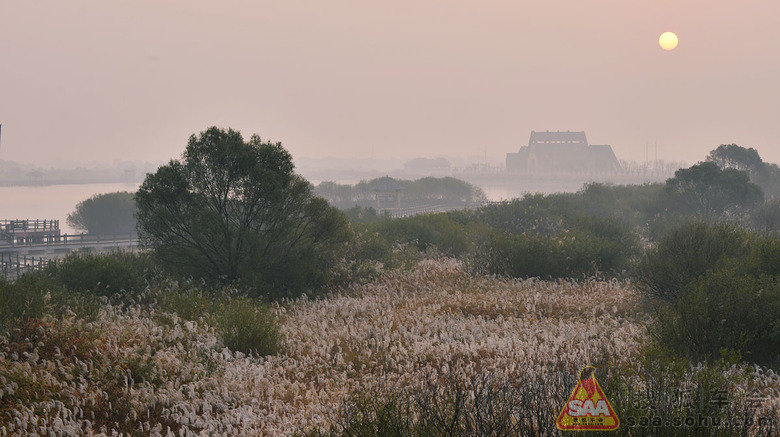 白日依山尽,黄河入海流;若要观此景,莱州湾一