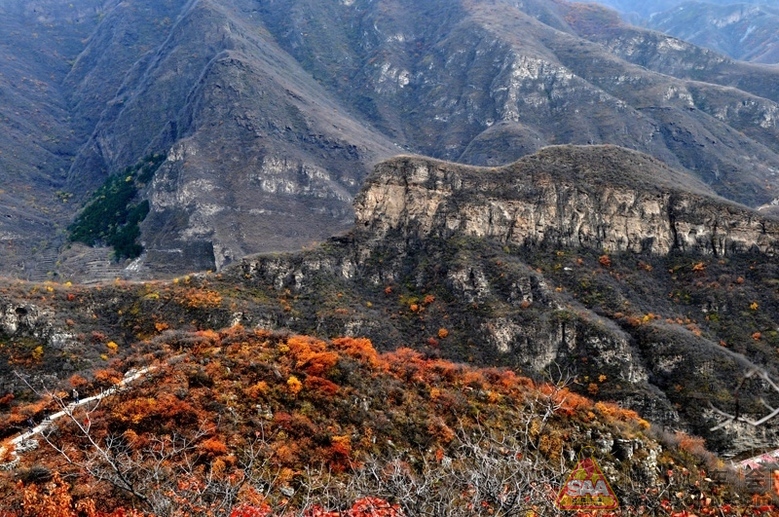 Img314473_780.jpg