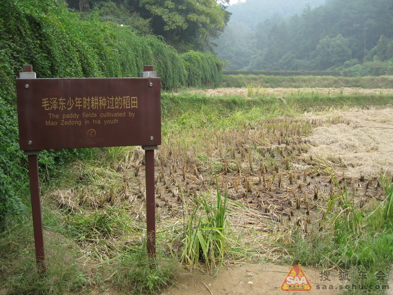 Img5698973_780.JPG