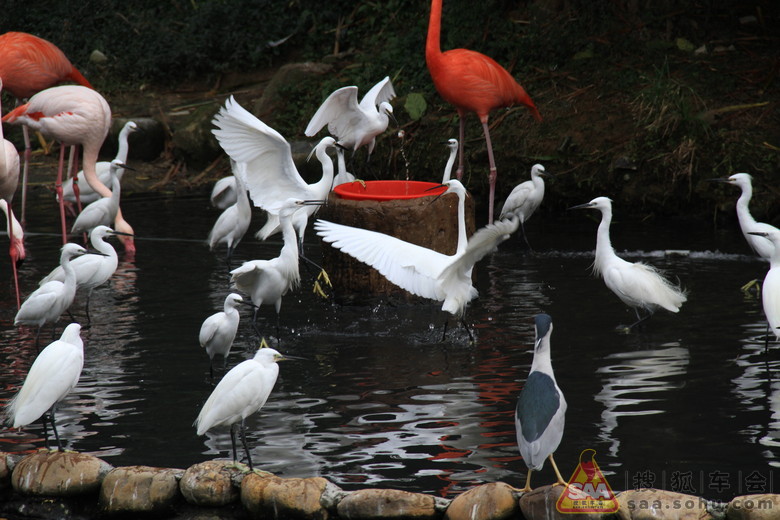 记录香港两日游玩(I) - 迈腾-腾云社
