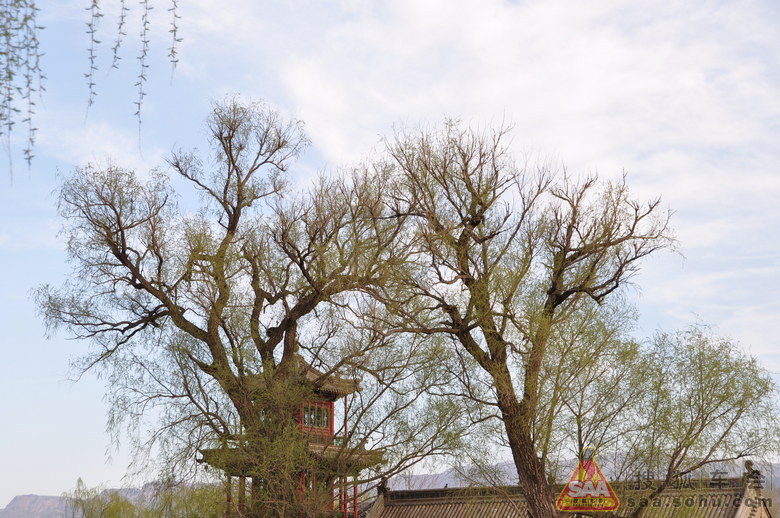 5.1-搜狐车会蔚县自驾游-暖泉古镇\/美女 - 搜狐