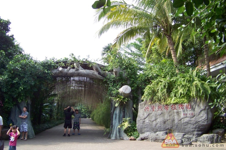 Img6326981_780.JPG