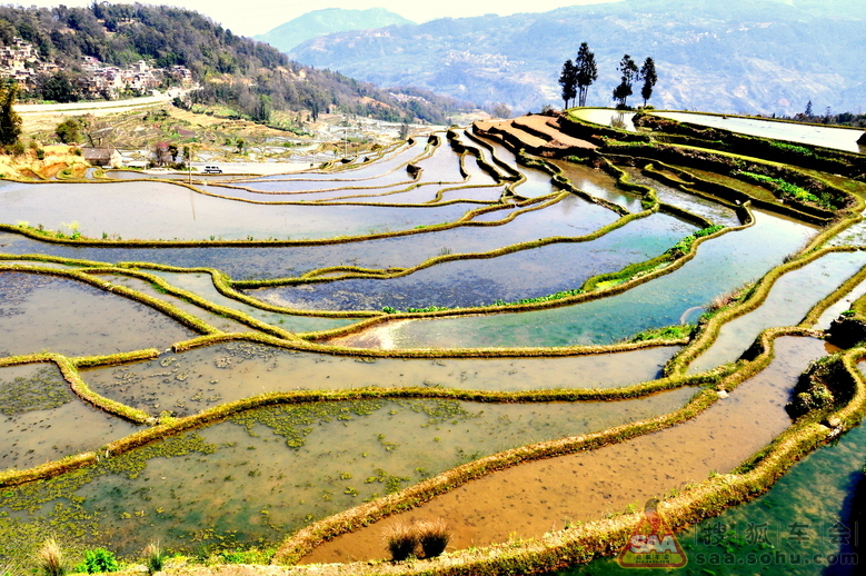 13年春节北京海南广西云南贵州自驾游之《元