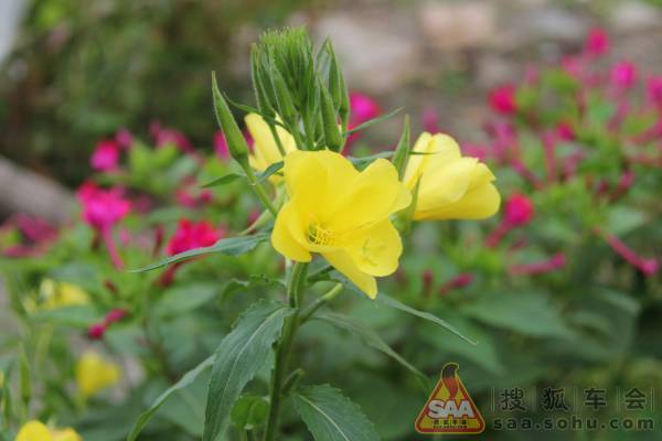 密云雾灵山观山、听水、看瀑布 - 北京通州车友