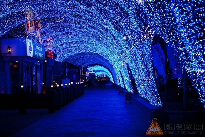 Img480585_780.jpg
