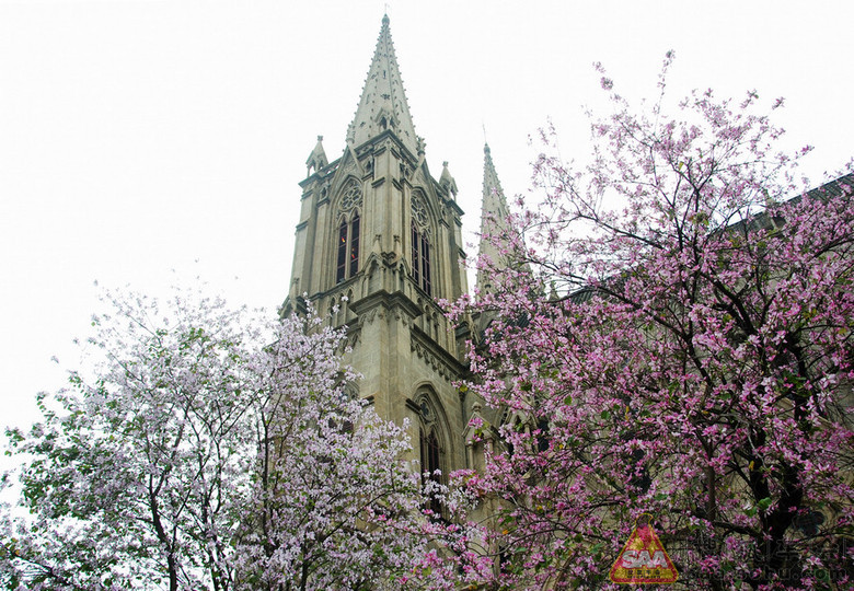 欧洲风广州景 石心教堂与恩宁路