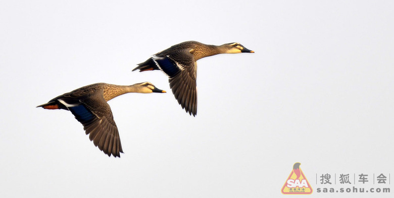 白日依山尽,黄河入海流;若要观此景,莱州湾一