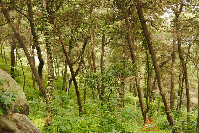 7.19-7.23日照,青岛自驾游(十)_上海车友会