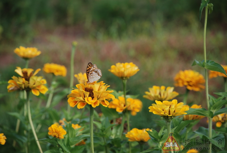 【参赛作业】《纵横华夏八万里》之人生旅途★