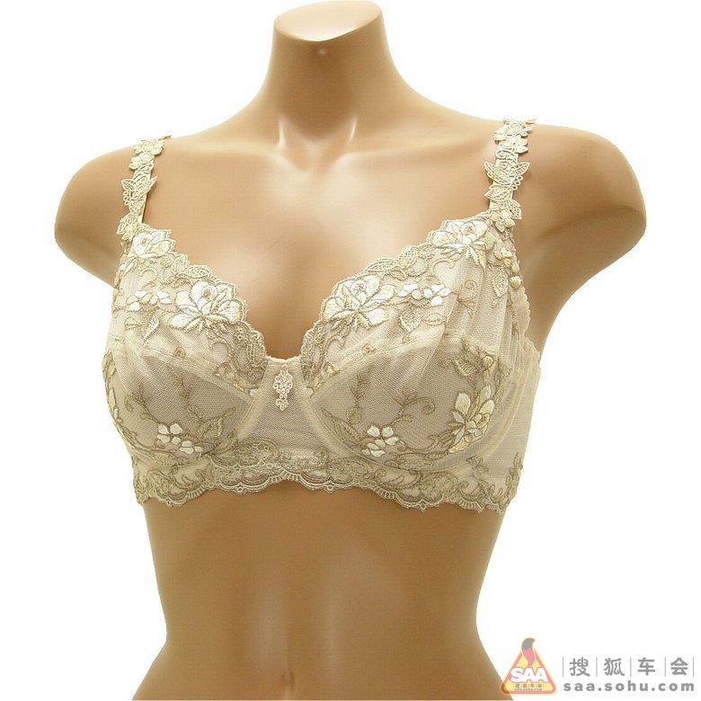 PRC的胸罩<em>乳罩发展</em>进程_哈尔滨车友会_汽车