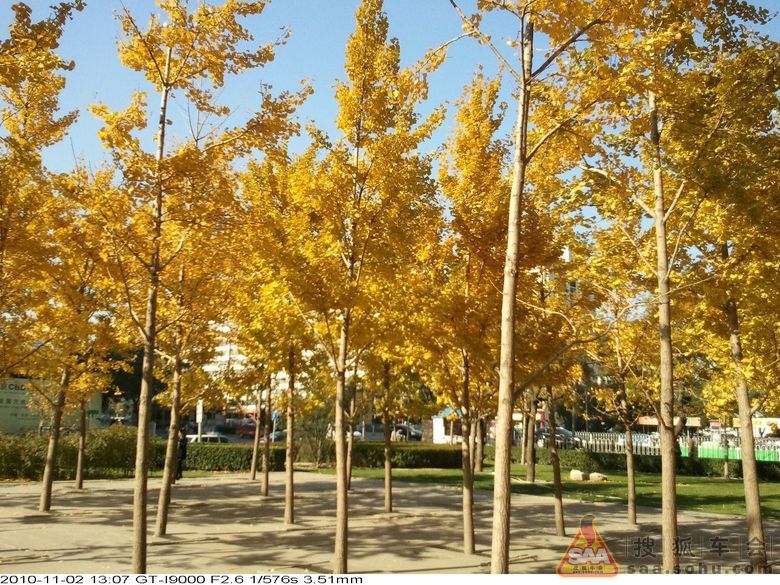 在路边用手机拍了几张黄色照片 - 自驾游