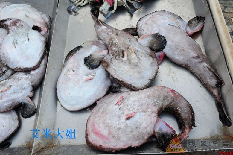 单车自驾山东游---北京--荣成烟墩角-附路书_自